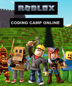 ROBLOX Coding Class Dublin Ireland